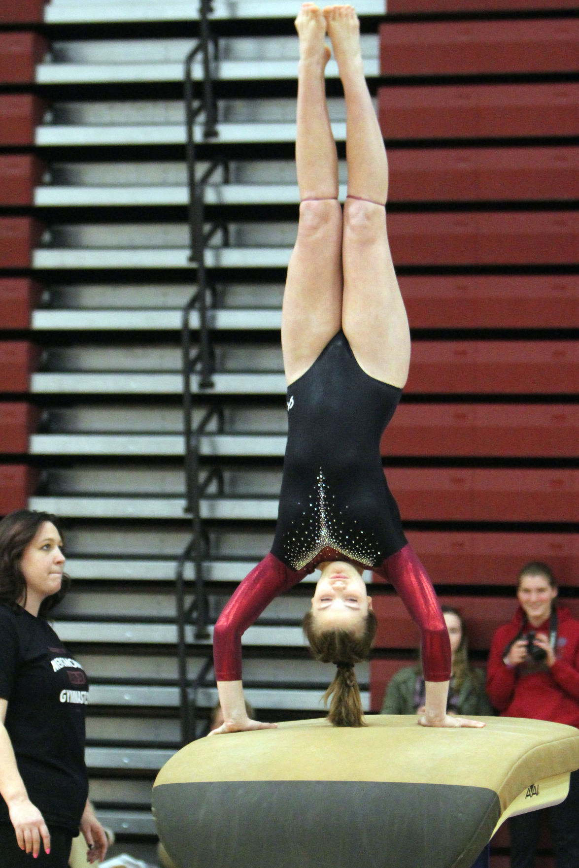 Big Rivers Conference Gymnastics Triangular at Menomonie 1-23-20